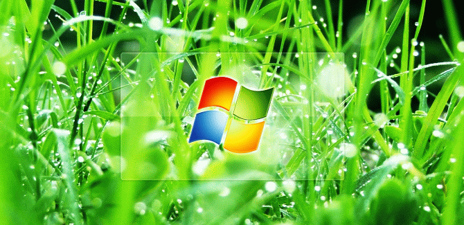 Дмитрий Шаповалов против Microsoft: кому достался домен Windows.ru?