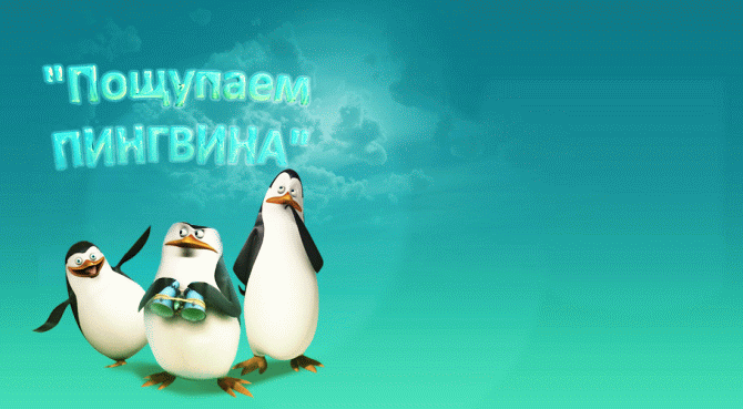 Пощупаем Пингвина: серия конкурсов от bizzteams.ru